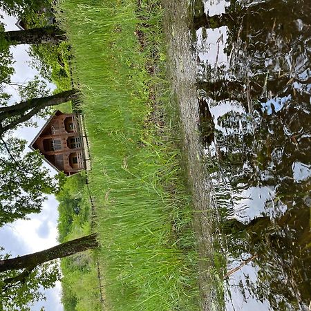 Au Bord Du Lac III Villa Montigny-en-Morvan Eksteriør bilde