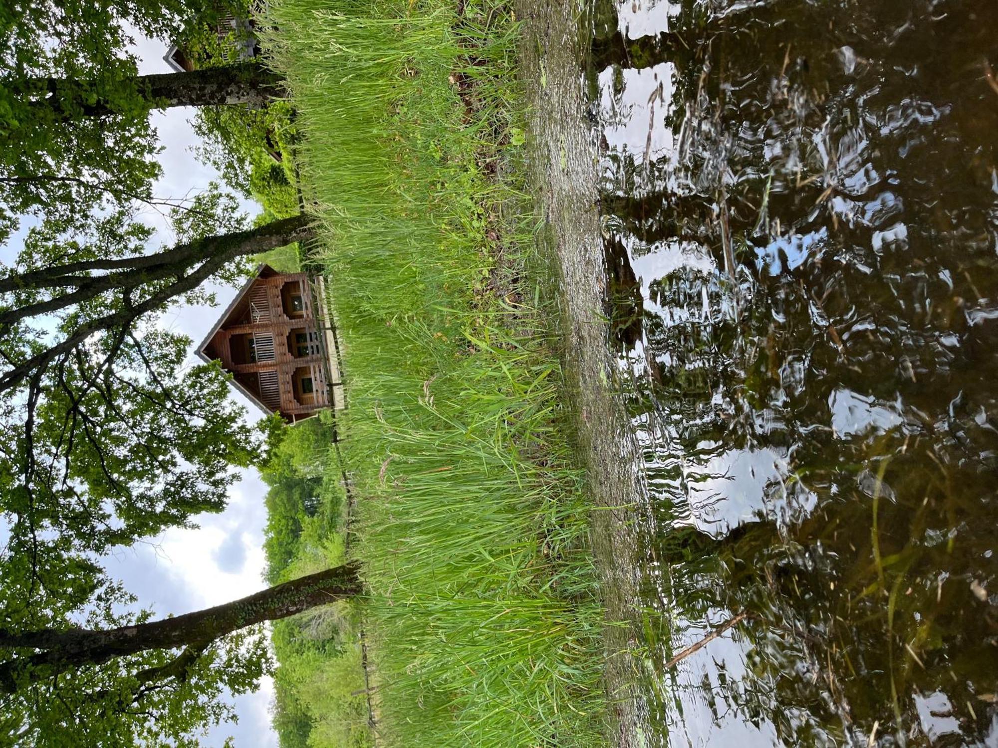 Au Bord Du Lac III Villa Montigny-en-Morvan Eksteriør bilde